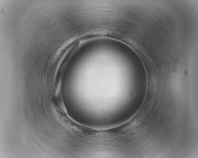 X0000056320064200509092313