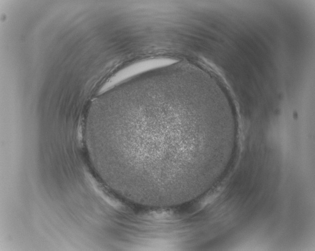 X0000056320065200509092313