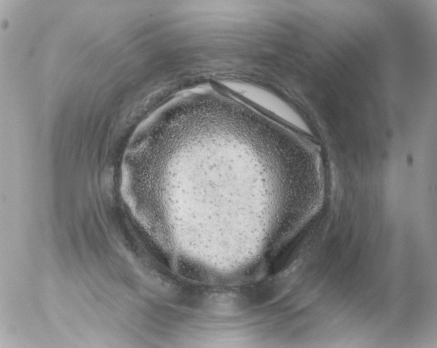 X0000056320066200509092313