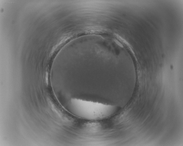 X0000056320067200509092313