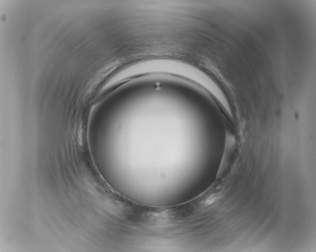 X0000056320068200509092313