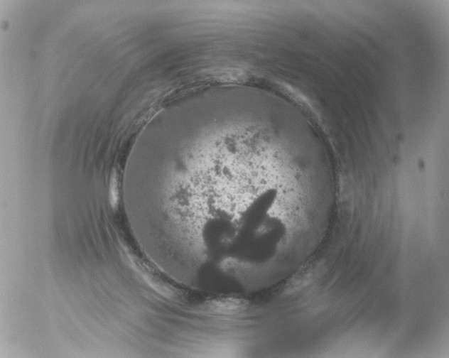 X0000056320069200509092313