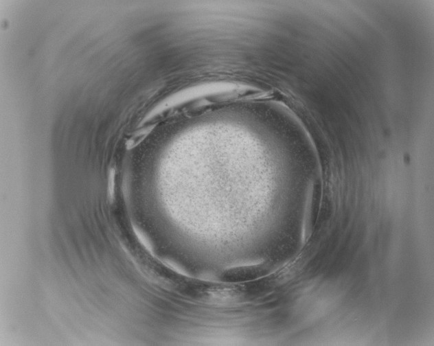 X0000056320070200509092313