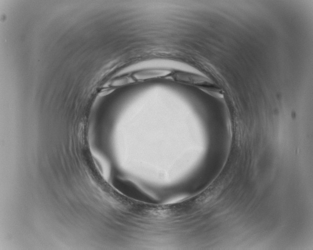 X0000056320071200509092313