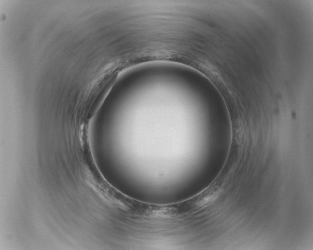 X0000056320072200509092313