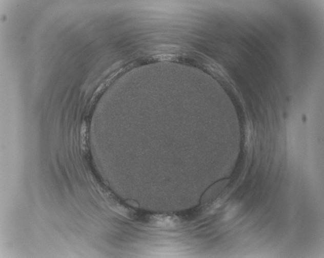 X0000056320073200509092313