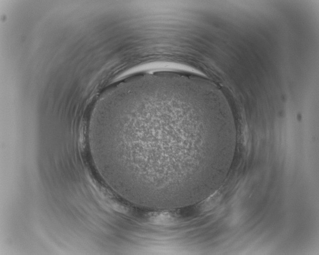 X0000056320074200509092313