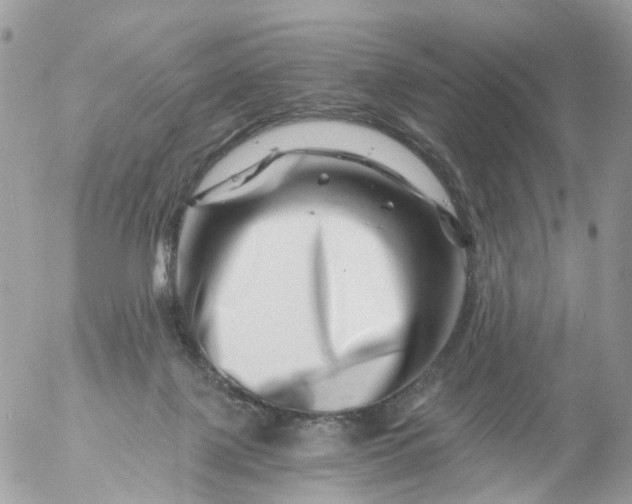 X0000056320075200509092313