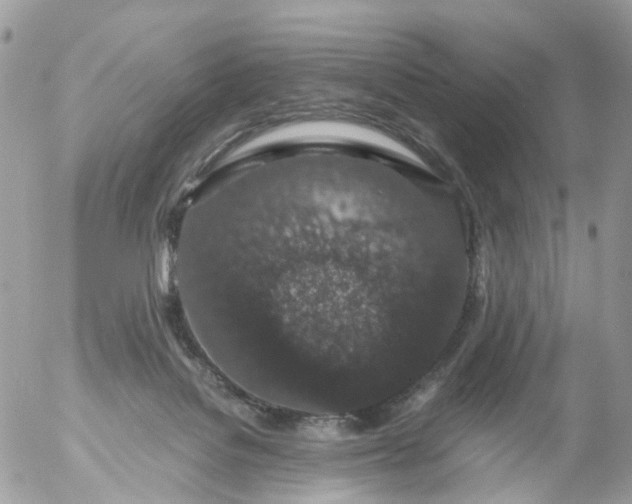 X0000056320076200509092313