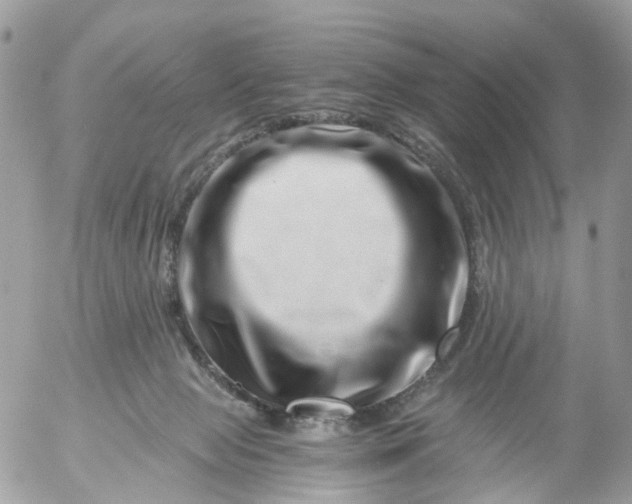 X0000056320077200509092313