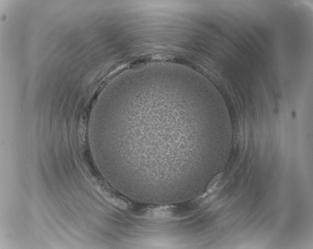 X0000056320078200509092313