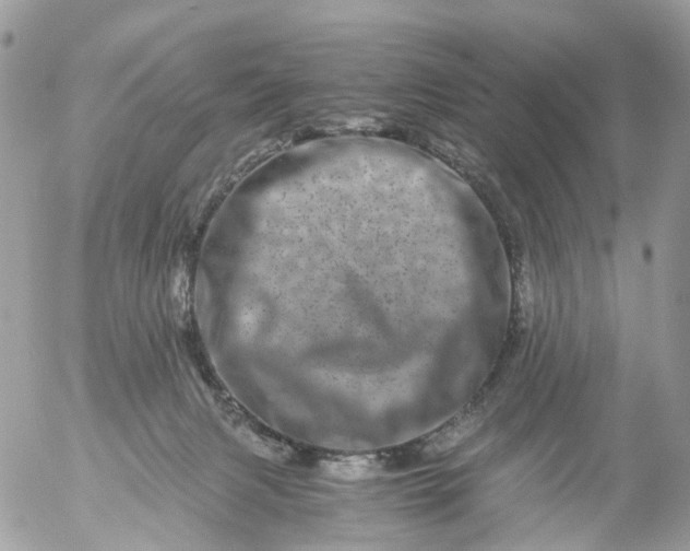 X0000056320079200509092313