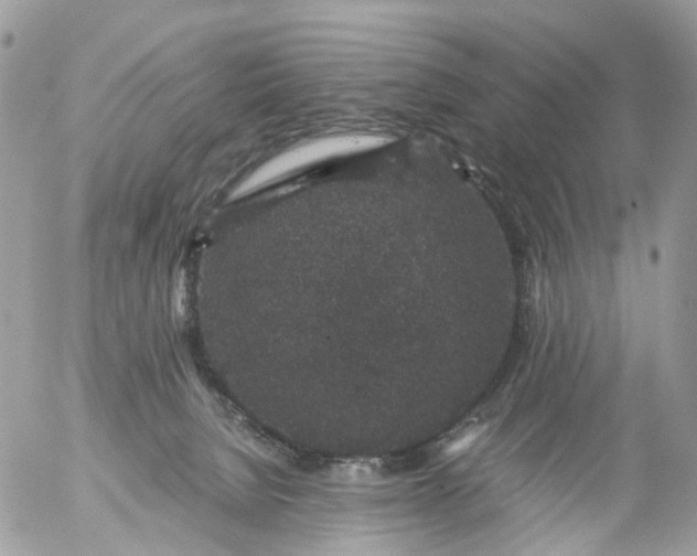 X0000056320080200509092313