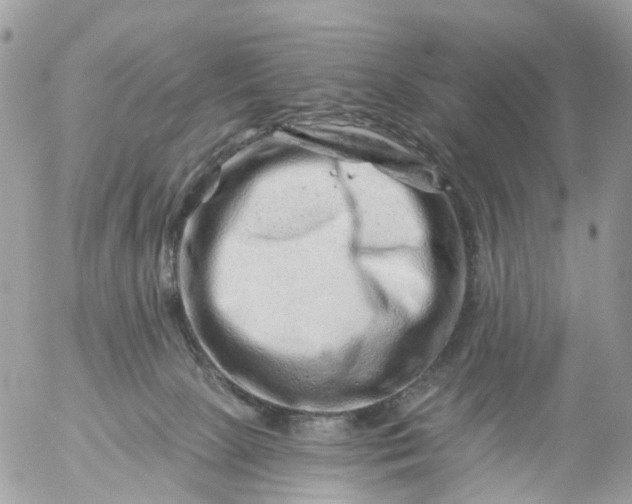 X0000056320081200509092313