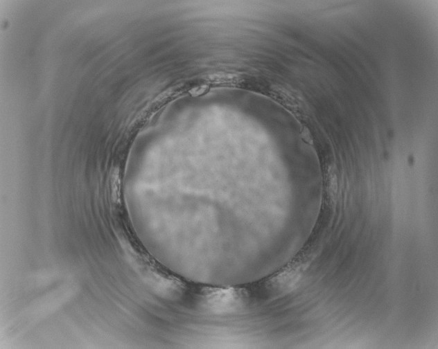 X0000056320083200509092313