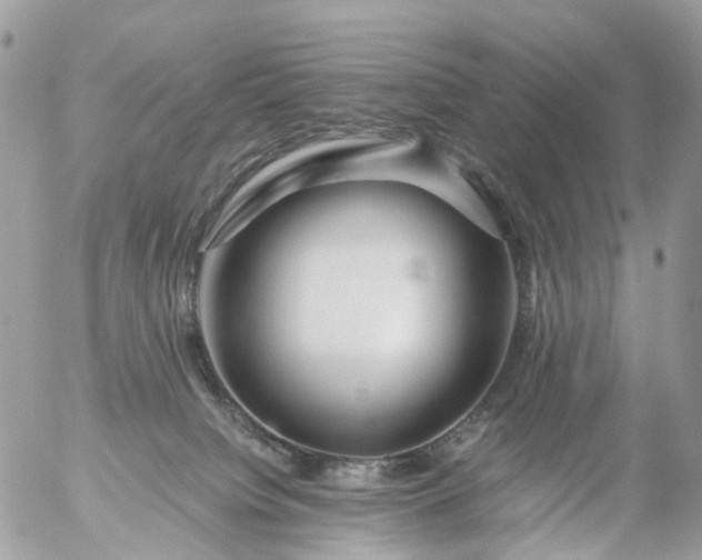 X0000056320084200509092313