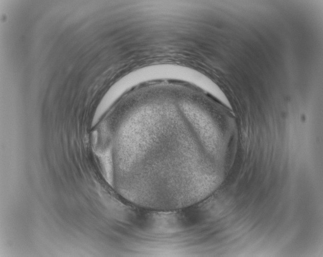 X0000056320085200509092313