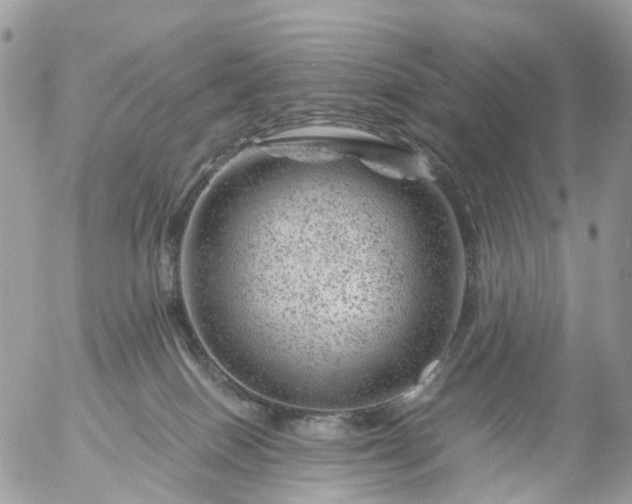 X0000056320086200509092313