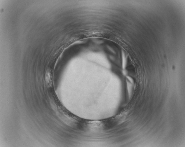 X0000056320087200509092313