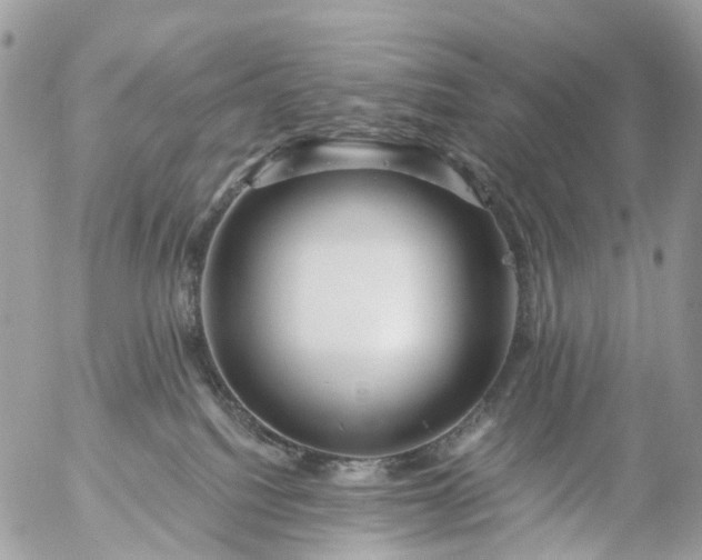 X0000056320088200509092313