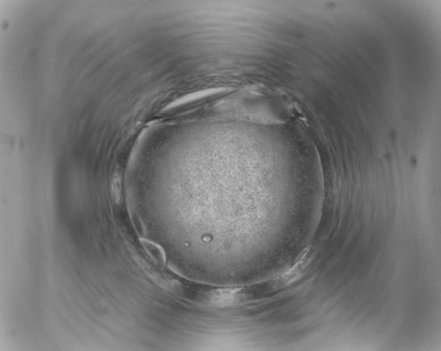 X0000056320090200509092313