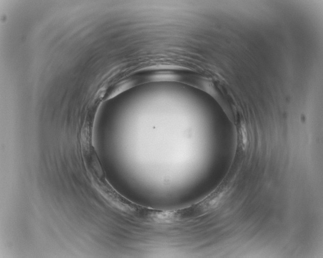 X0000056320092200509092313