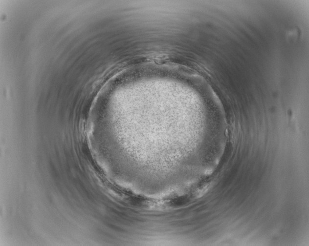 X0000056320093200509092314