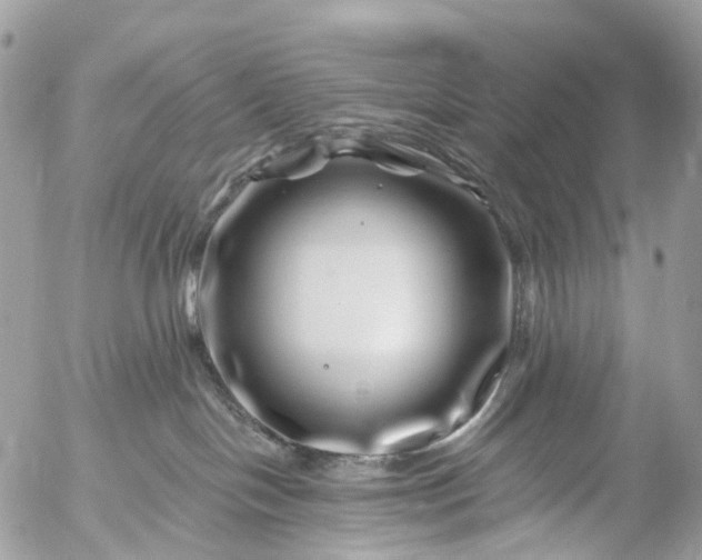 X0000056320094200509092314