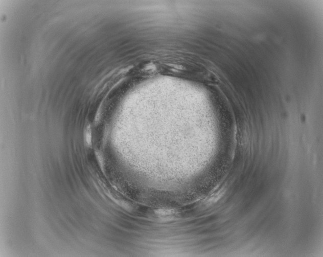 X0000056320095200509092314