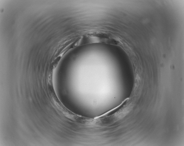 X0000056320096200509092314