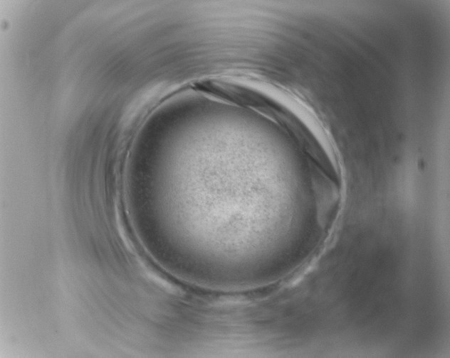 X0000056320097200509092313