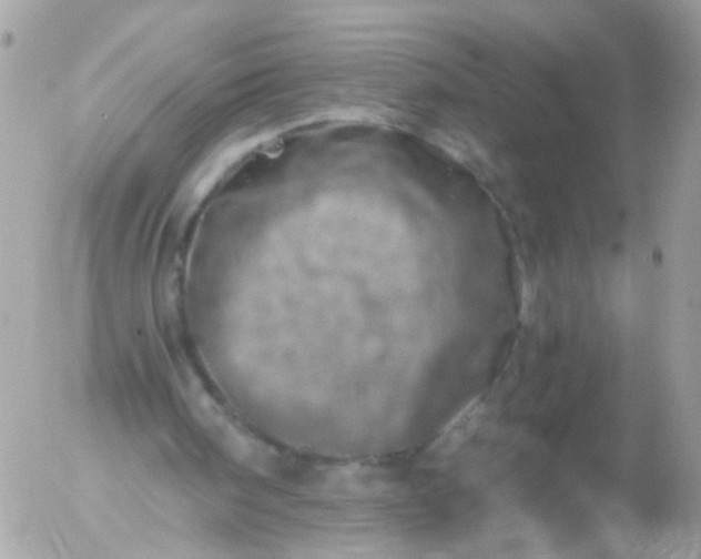 X0000056320098200509092313