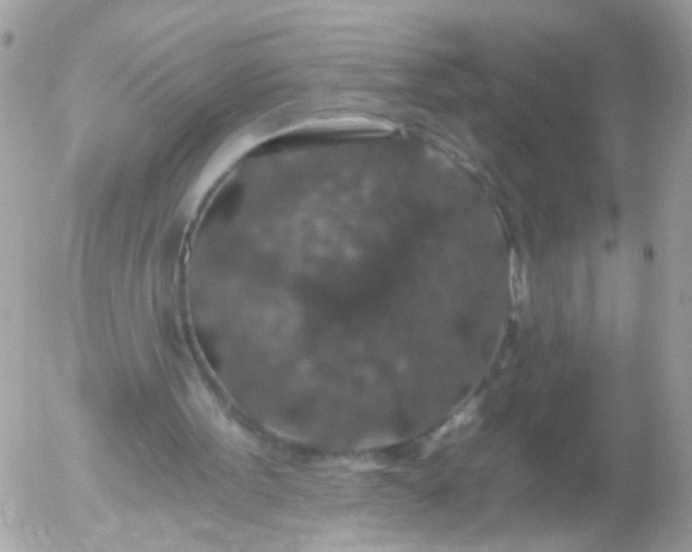 X0000056320099200509092313