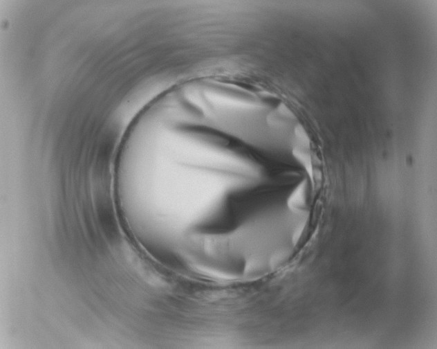 X0000056320100200509092313