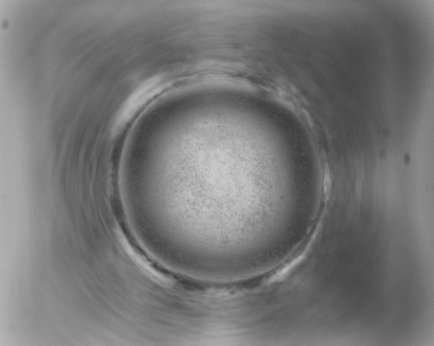 X0000056320101200509092313