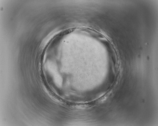 X0000056320103200509092313