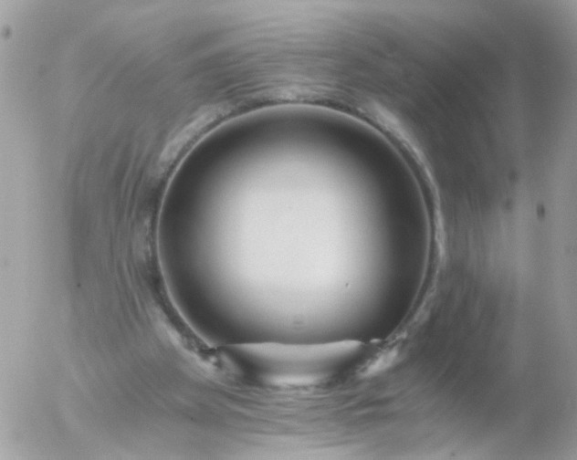 X0000056320105200509092313