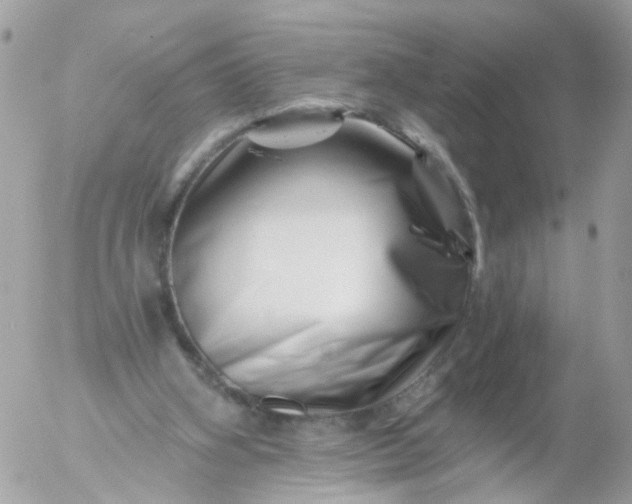 X0000056320106200509092313