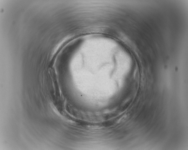 X0000056320107200509092313