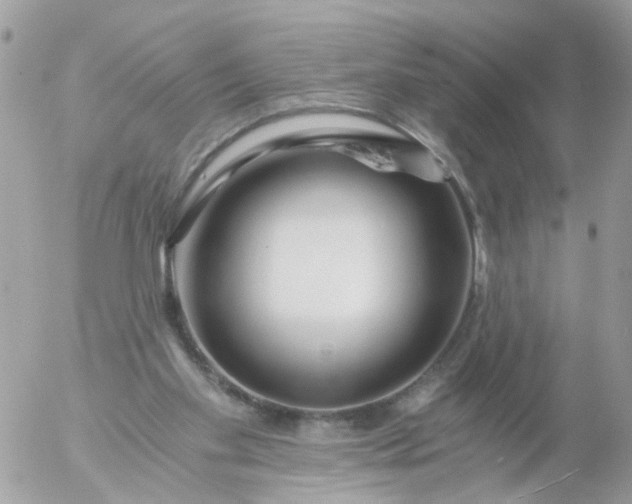 X0000056320109200509092313