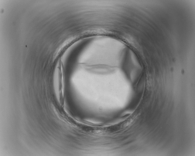 X0000056320111200509092313