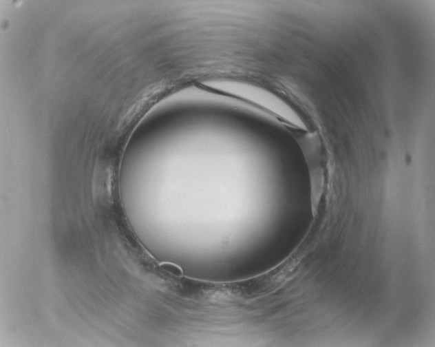 X0000056320115200509092312