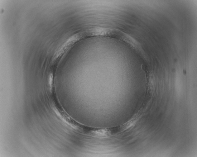 X0000056320118200509092312