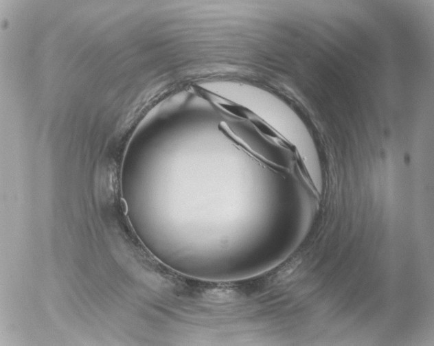 X0000056320119200509092312