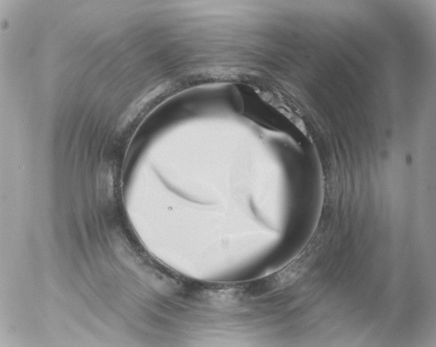 X0000056320120200509092312