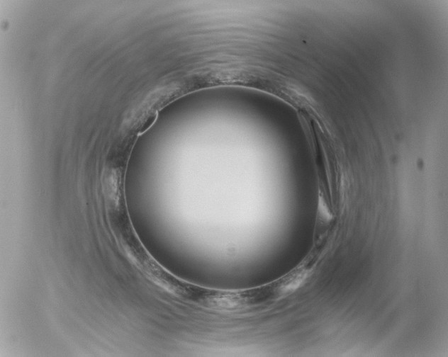 X0000056320121200509092312