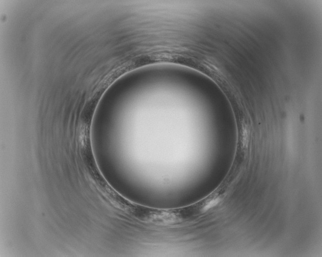 X0000056320125200509092312