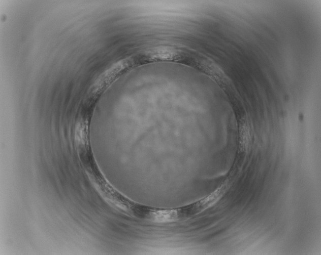 X0000056320126200509092312