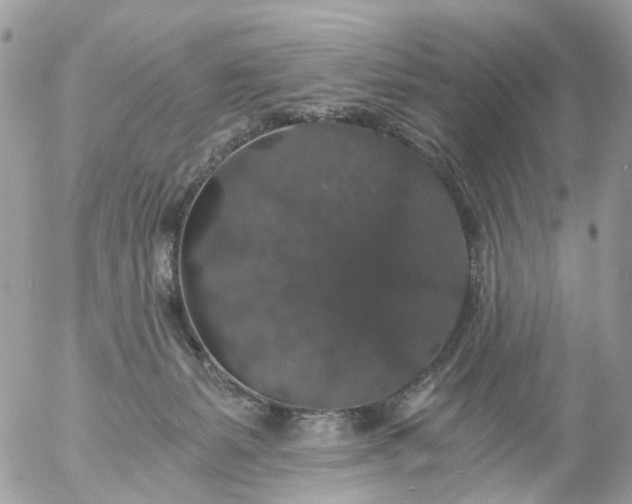 X0000056320127200509092312