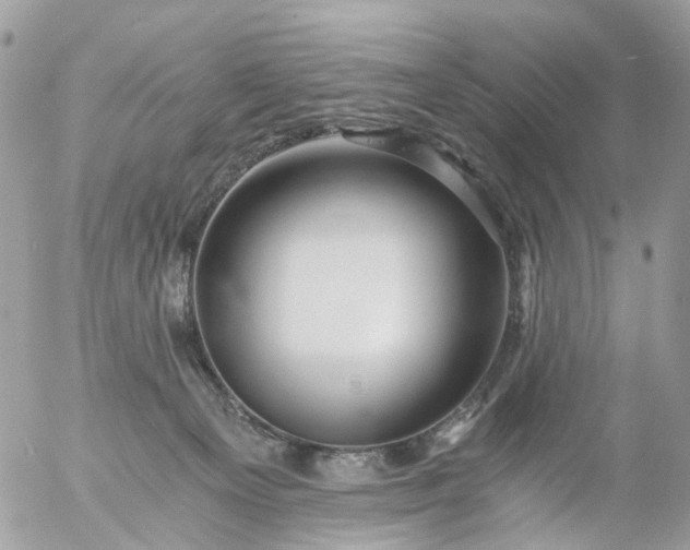 X0000056320129200509092312